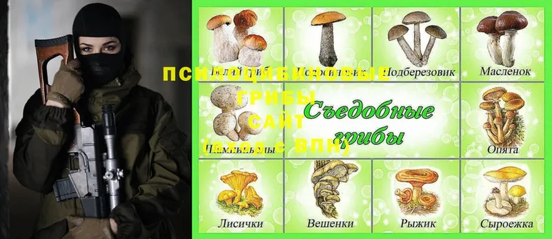 Псилоцибиновые грибы MAGIC MUSHROOMS  omg рабочий сайт  Белоусово 